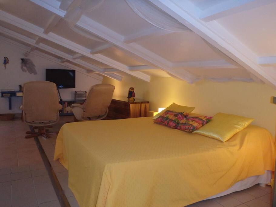 Charmant Et Spacieux Studio A 50M De La Plage Le Diamant Exterior foto